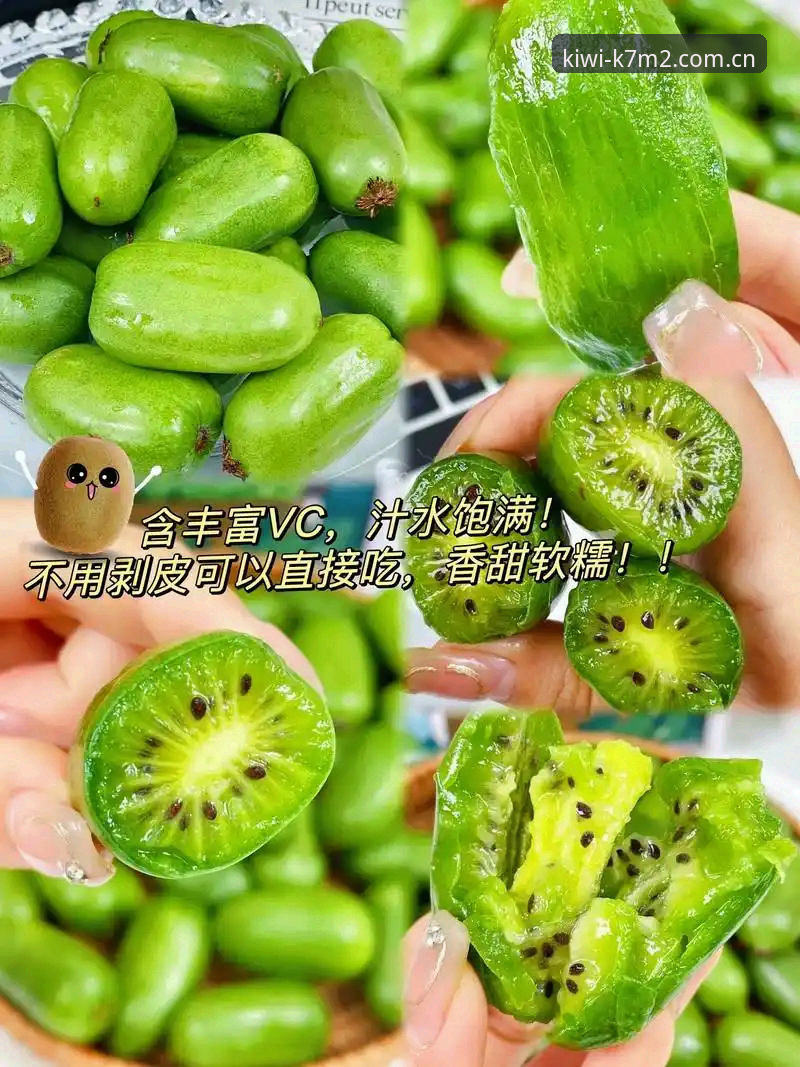 奇异果登录 奇异果体育官网新手使用指南:奇异果登录与平台注册完整教程