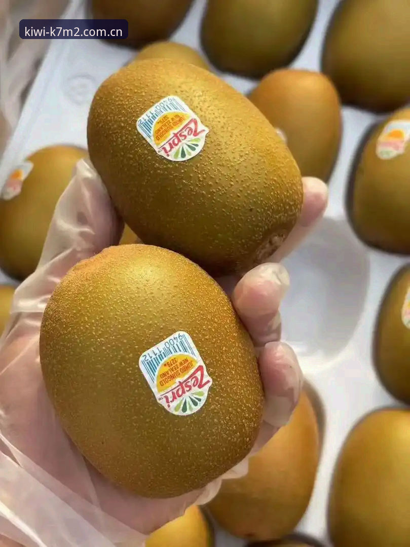 奇异果体育官网最新动态：K7M2常见问题全解析，用户刘浩亲测分享解决方案